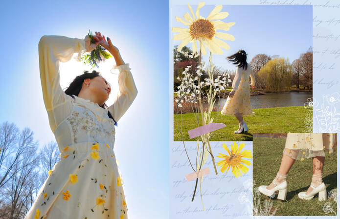 Sunshine Spread, Canva, 2022